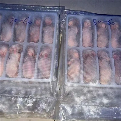 Značilnosti zamrznjenih miši za kače