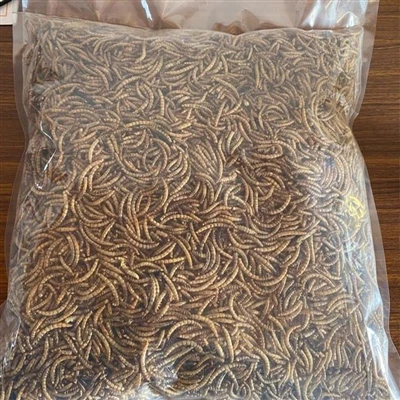 Kakšne so uporabe suhih čričkov za ptice?