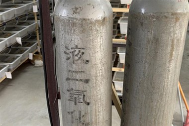 Prednosti obrokov kot krmo rib