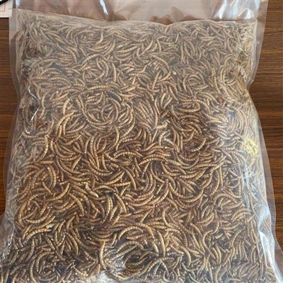 Dobava zamrznjenih podgan v razsutem stanju za veleprodajne kupce in distribu...