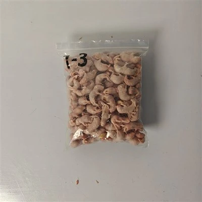 Zamrznjene podgane Pinkie